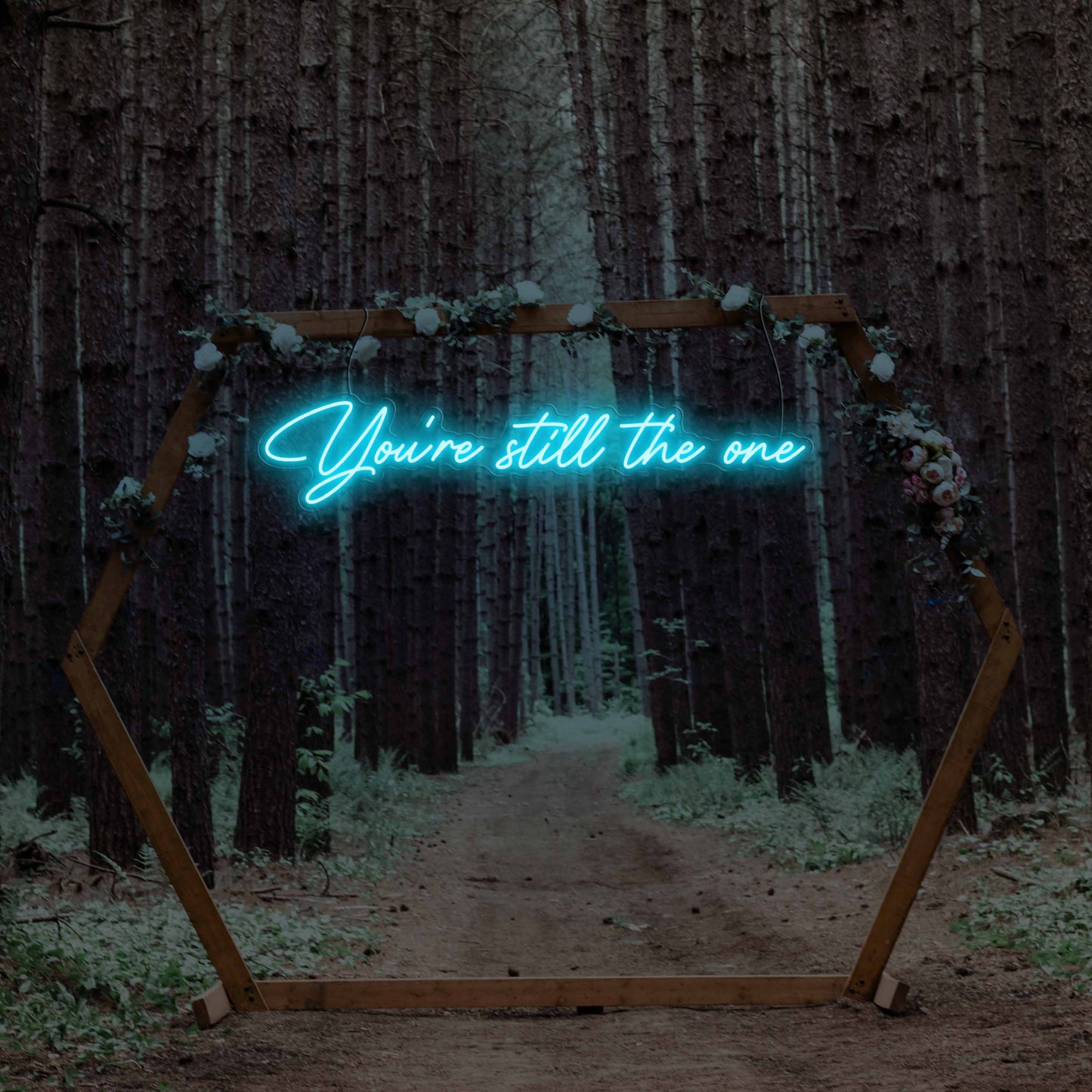 You're still the One Neon Sign